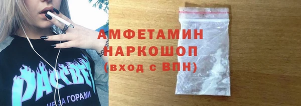ешки Алексин
