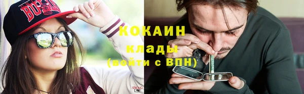 ешки Алексин