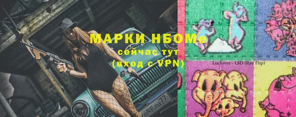 apvp Алзамай