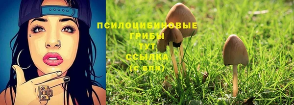 ешки Алексин
