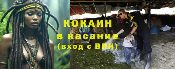 apvp Алзамай