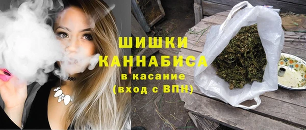 стаф Сосновка