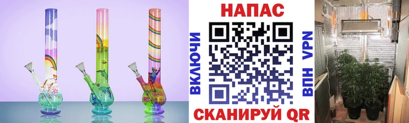 сайты даркнета наркотические препараты  Бодайбо  Шишки марихуана Ganja 